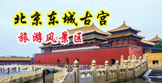 骚逼毛洞中国北京-东城古宫旅游风景区